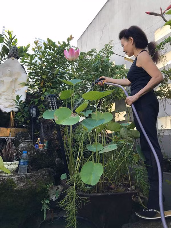 Bo me Ho Ngoc Ha lam nong dan du giau nut do do vach-Hinh-8