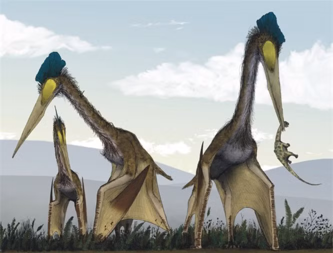 3. Quetzalcoatl: Quetzalcoatl sống 66-68 triệu năm trước. Nó là loài thằn lằn lớn nhất và là động vật bay lớn nhất trong lịch sử của hành tinh. Sải cánh của nó dài 12-15 mét, và nó ăn động vật có xương sống nhỏ và xác thối. 