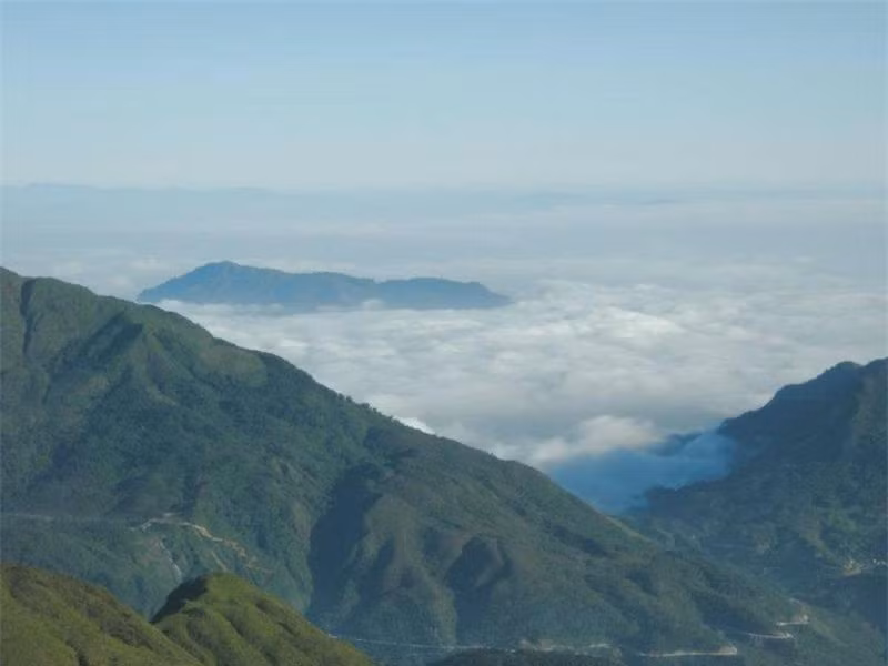 Phía trên và dưới đèo là những cánh rừng già xanh thẳm đến ngút ngàn.