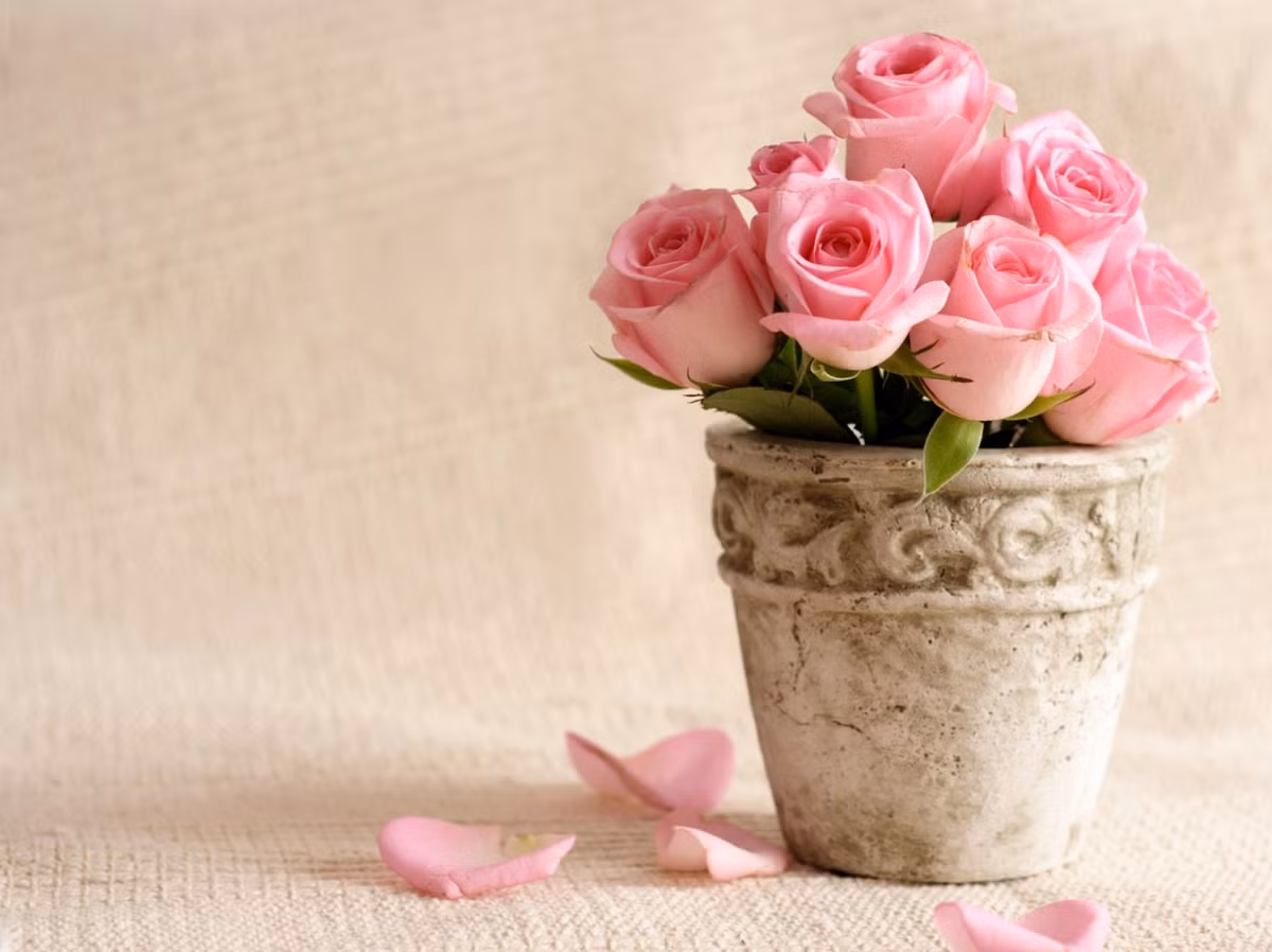 Những người sinh vào 2 ngày Âm lịch này là những người thực tế và tràn đầy khí chất. Họ đã rất thông minh từ khi còn nhỏ, điềm tĩnh hơn so với các bạn cùng lứa tuổi.