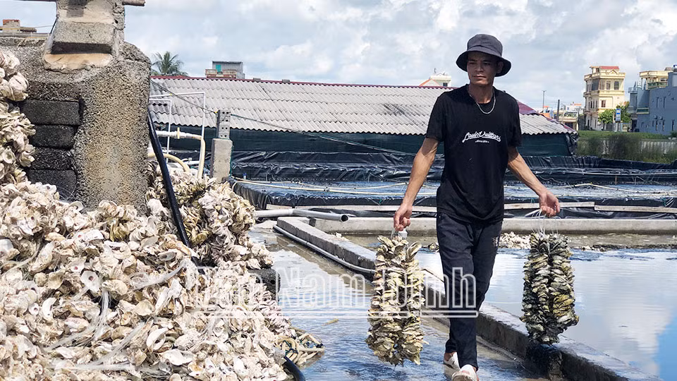 Mot noi o Nam Dinh ca lang kha gia, ra ngo dung ty phu
