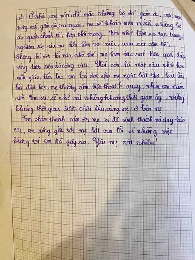 Bai van ta me dat diem gan tuyet doi cua be trai tieu hoc-Hinh-2