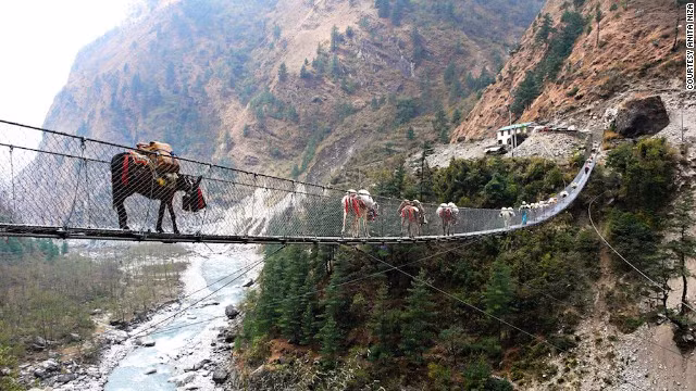 Cầu treo Ghasa ở Nepal rất độc đáo vì nó không chỉ được sử dụng bởi người dân địa phương mà cả gia súc của họ.