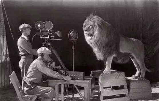 Điểm ấn tượng đã làm nên thương hiệu của MGM (Metro–Goldwyn–Mayer) chính là hình ảnh chú sư tử gầm ở đầu mỗi bộ phim của họ. Trên thực tế, có rất nhiều con sư tử đã được sử dụng cho biểu tượng của MGM. Bức ảnh này ghi lại hai nhiếp ảnh gia và một con sư tử, đây là một con sư tử thật, nếu không cẩn thận sẽ xảy ra nguy hiểm.