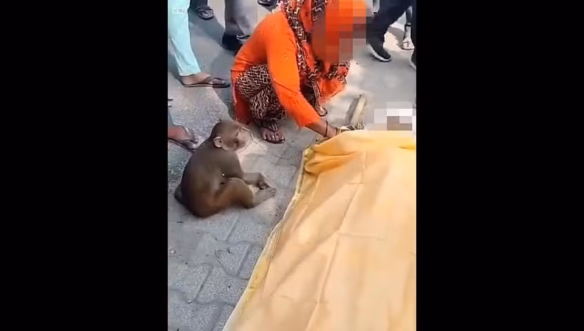 Video: Khi dau buon, om chat thi the nguoi dan ong trong dam tang