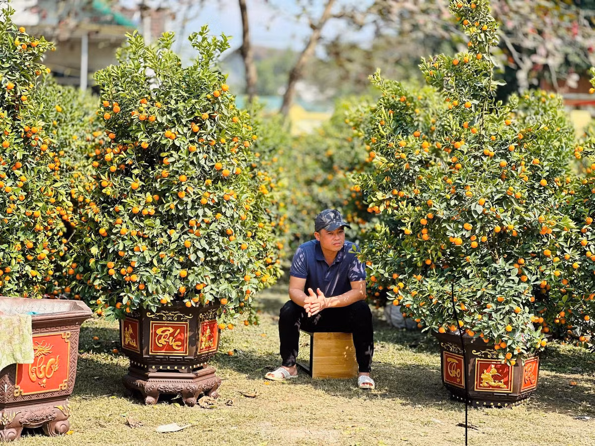 Không khí ngày Tết tại các khu chợ ở Hà Tĩnh ảm đạm, số lượng cây cảnh, hoa đang rất nhiều. Trước tình hình bán buôn ế ẩm, nhiều tiểu thương đang phải đối mặt với viễn cảnh đón một cái Tết buồn vì thua lỗ.