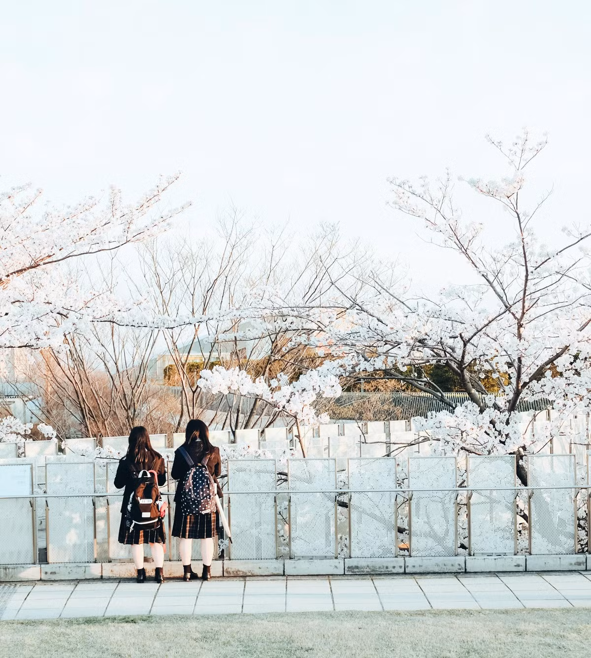 Sơn Tùng là người chuyên chia sẻ những hình ảnh được chụp tại Nhật Bản.