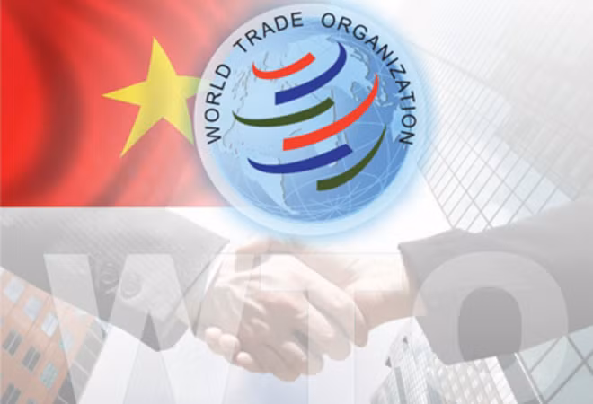 Năm 2007 (Đinh Hợi): Việt Nam trở thành thành viên thứ 150 của WTO đã đánh dấu một bước quan trọng trong tiến trình hội nhập kinh tế quốc tế, khẳng định vị thế đất nước ta, dân tộc ta với cộng đồng quốc tế. (Bài có sử dụng tư liệu của Báo Yên Bái). Mời quý độc giả xem video: Đi tìm Tết Việt. Nguồn: VTC14.