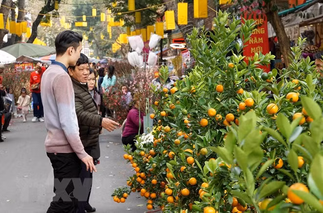 Thoi tiet hom nay (29/1): Nhiet do mien Bac tang cao den 27 do C