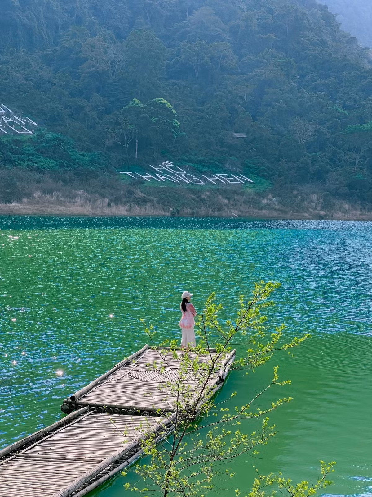 Thuc day o nui Mat Than, chiem nguong lan suong tren mat nuoc-Hinh-9