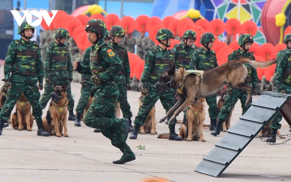 Quân khuyển biên phòng biểu diễn vượt chướng ngại vật, nhảy qua vòng lửa...