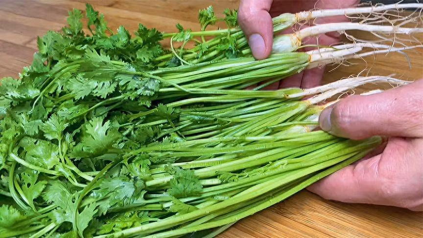 Loai rau “nho ma co vo”, khang sinh tu nhien, giup giai doc