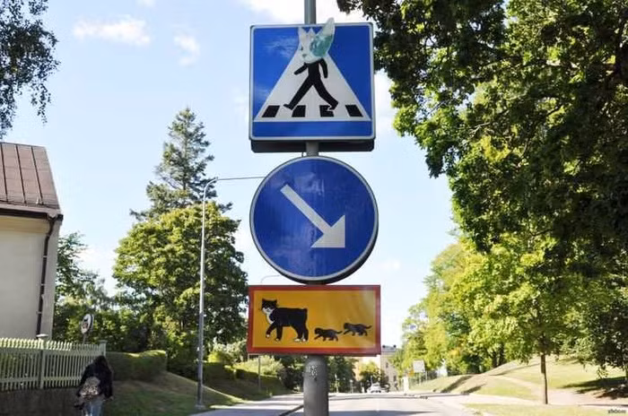 Ở Uppsala (Thụy Điển), có một biển báo đường có nội dung "Cẩn thận, mèo mẹ và mèo con đang băng qua đường”.