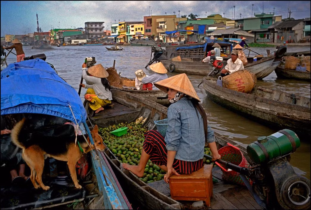 Chú chó ở chợ nổi Phong Điền, Cần Thơ năm 2017. Ảnh: Ian Berry/Magnum.