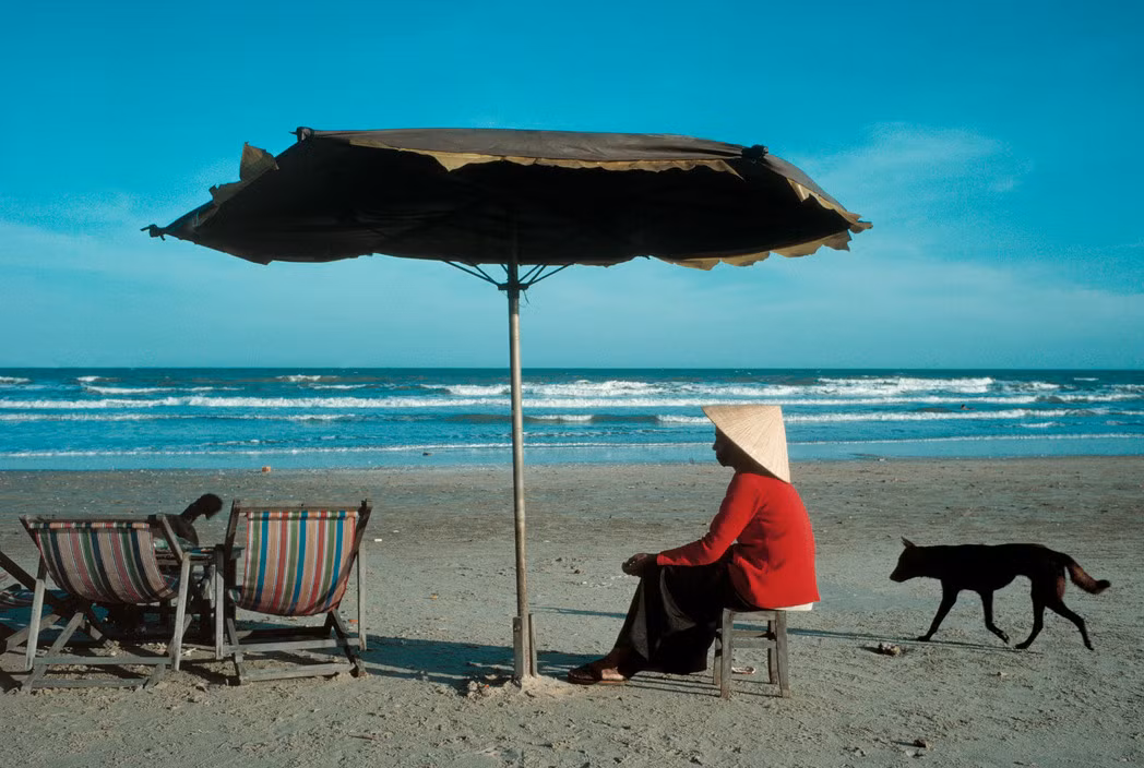 Chú chó thơ thẩn trên bãi biển Vũng Tàu, 1989. Ảnh: David Alan Harvey/Magnum.