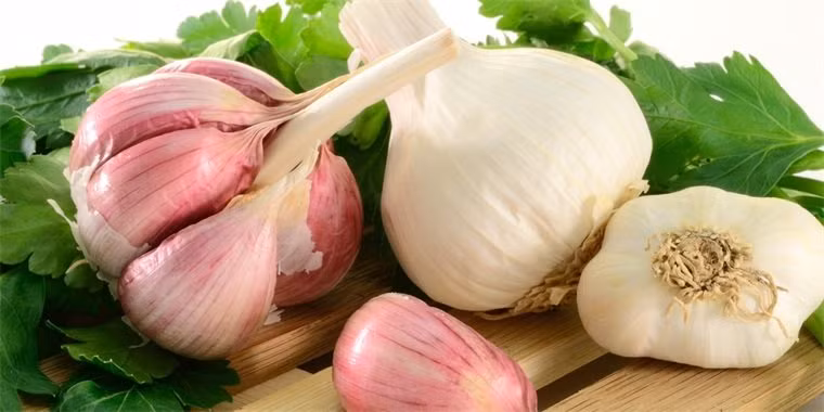 Mùa dịch chăm ăn tỏi giúp tăng đề kháng nhưng chớ dại Mua dich cham an toi giup tang de khang nhung cho dai