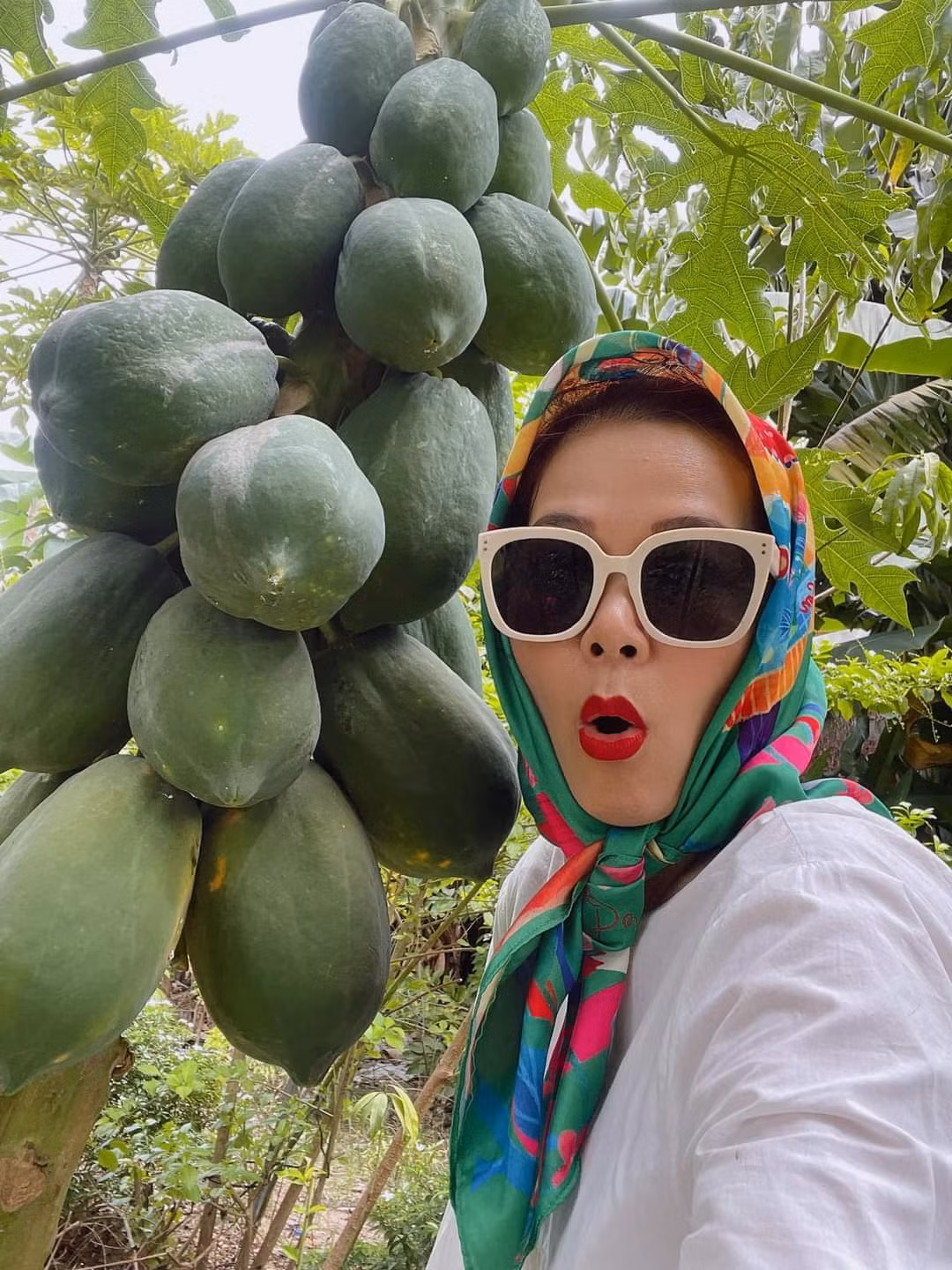 Ca sĩ Mỹ Lệ hoá tắc kè hoa tại vườn nhà.