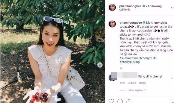 Người đẹp gốc Hải Phòng đăng ảnh cười hạnh phúc khi đi hái cherry tại vườn, đặc biệt hàm răng vẫn dính cherry. Nhưng để tránh bị fan soi, Phạm Hương tự khai: "Thành quả hái cherry của mình ngày hôm nay. Thật tuyệt vời khi lạc giữa khu vườn cherry và vườn mơ. Mải mê ăn nên cherry vẫn còn dính ở răng luôn nè".