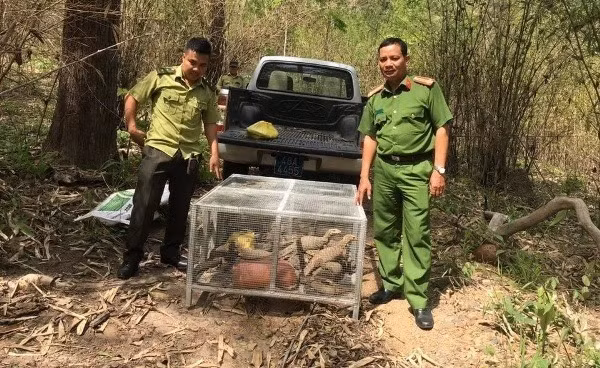 Cu ba 75 tuoi mua 5 con ky da de phong sinh, bat ngo bi truy to