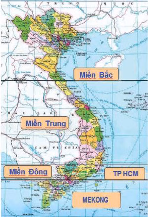 Chỉ trong vòng 6 tháng đầu năm 2012, VN Pharma thành lập VN Pharma An Giang (27/2/2012) và VN Pharma Cà Mau (18/6/2012).
