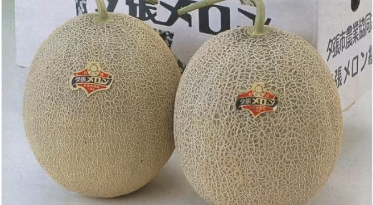 2. Dưa Yubari King, giá: 26.000 USD/cặp. Yubari King là loại dưa có ruột màu cam, vị ngọt và mẫu mã đẹp. Đây là loại dưa lai của 2 loại dưa đỏ, có hình tròn, vỏ mịn. Dưa Yubari King thường được bán theo cặp.