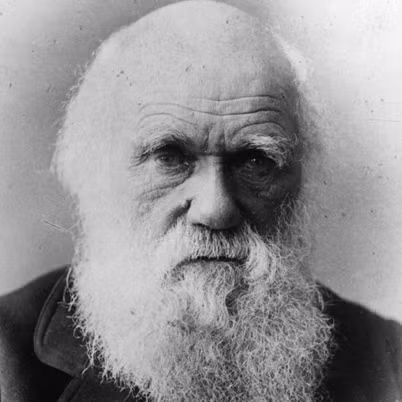 Vài năm sau, công trình vĩ đại“ Thuyết tiến hóa” của Darwin cũng được công bố khiến tên tuổi ông nổi tiếng toàn cầu.