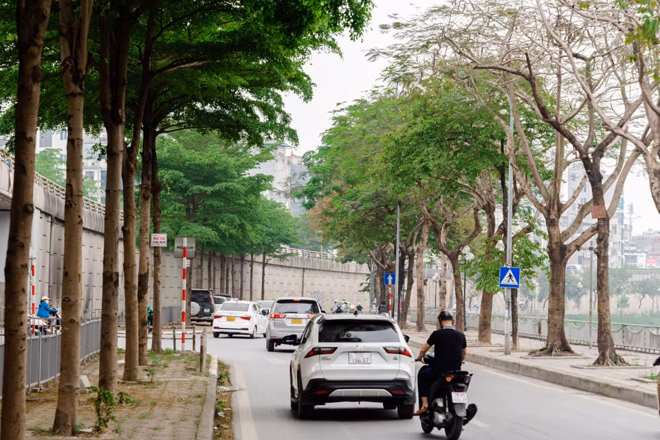 Khi các tán lá chuyển sang sắc vàng, đoạn đường ven sông Tô Lịch lại trở thành tâm điểm để các bạn trẻ đến check-in.