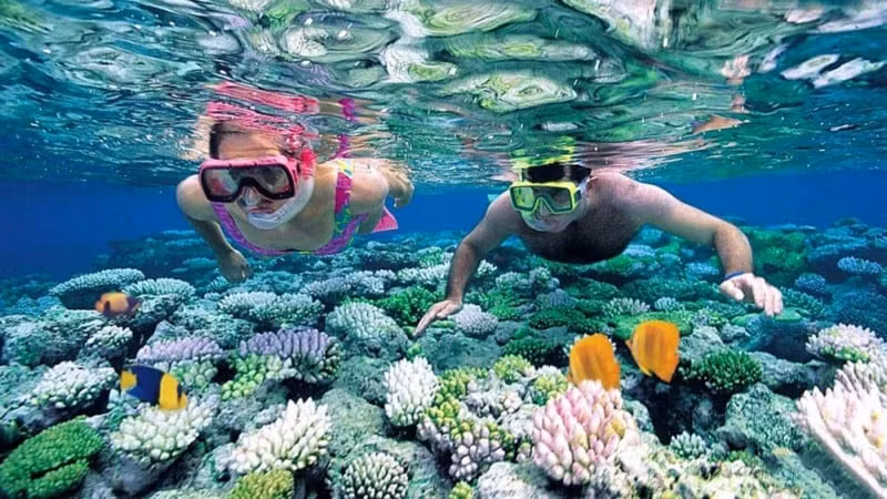 Máu hấp thụ hầu hết các màu sắc và phản xạ ánh sáng chủ yếu ở quang phổ màu đỏ. Tuy nhiên, nó cũng phản chiếu lượng ánh sáng xanh lục và xanh lam nhỏ hơn nhiều.