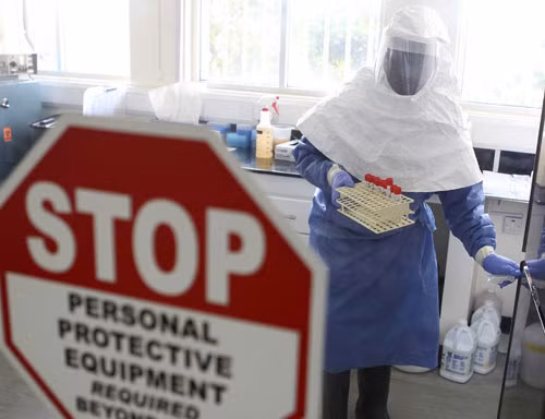 Ebola trở thành đại dịch và bắt đầu xuất hiện ở Đông Nam Á khiến rất nhiều người hoang mang.