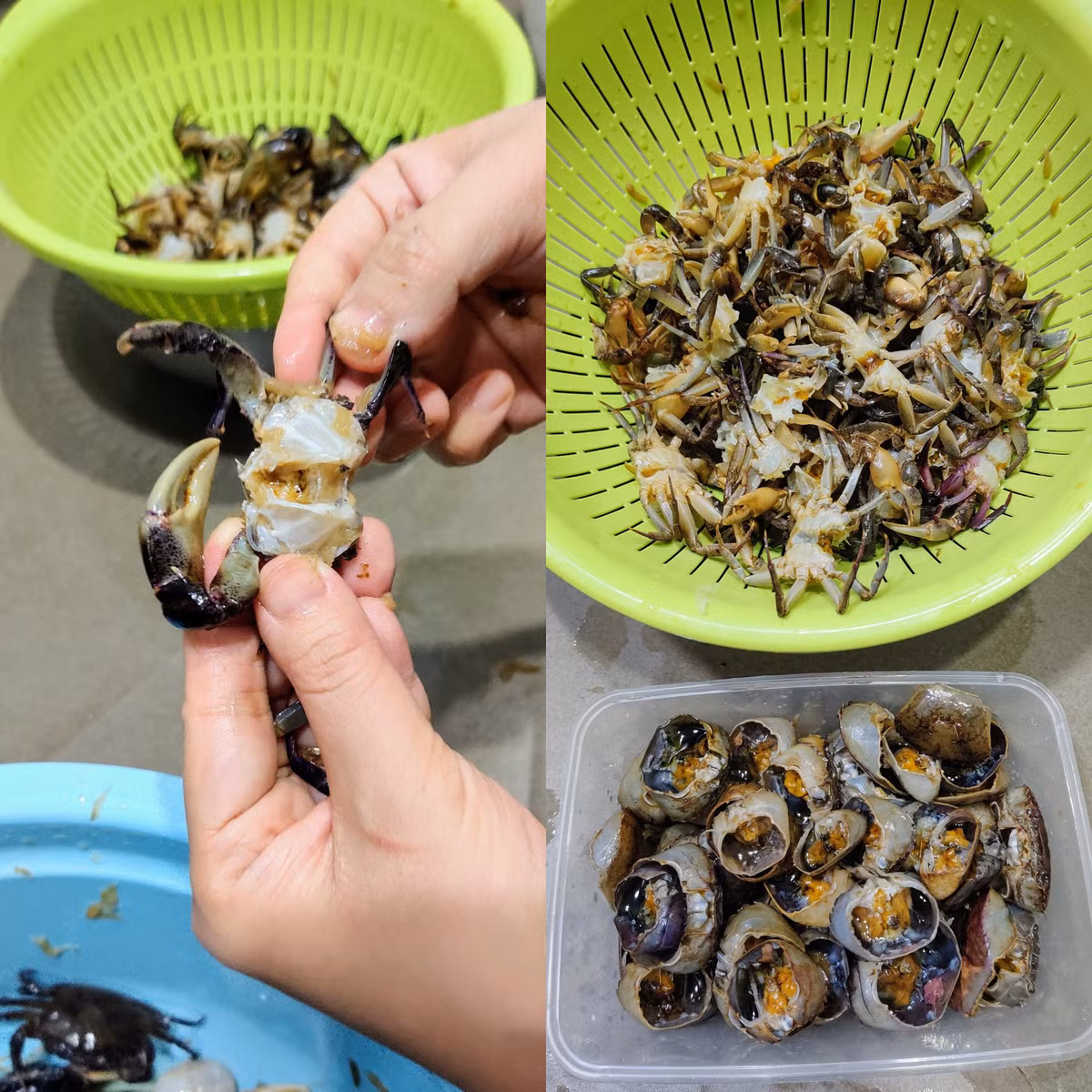 Mẹo làm sạch và lọc cua đồng nhanh nhất, cua thơm ngọt - Hình 4 Meo lam sach va loc cua dong nhanh nhat, cua thom ngot-Hinh-4