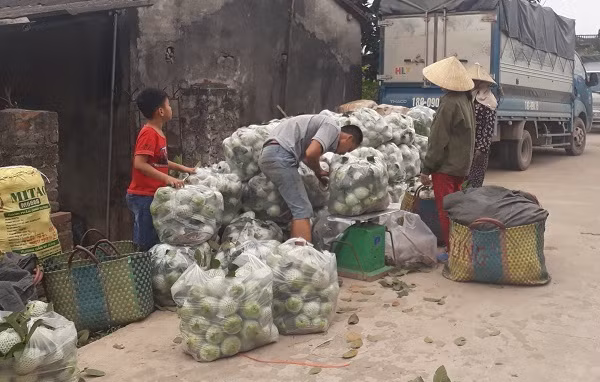 Oi re nhu cho nhung van e am, nguoi nong dan “keu cuu“-Hinh-2