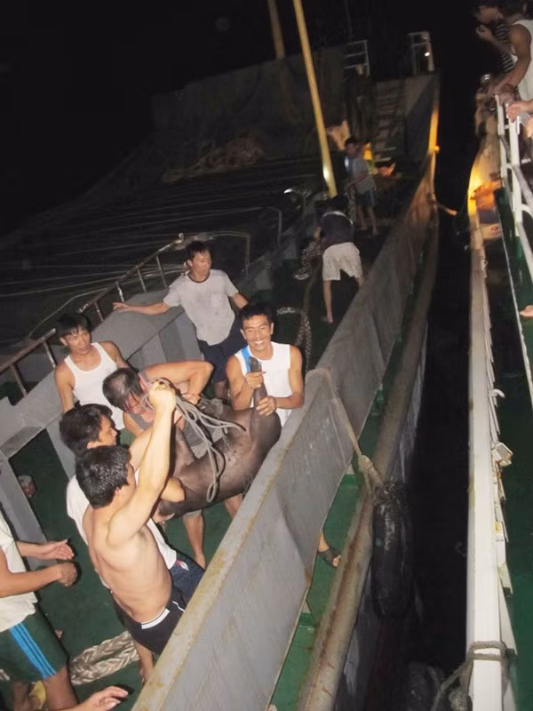 Tàu KN 761 phải tiếp nhận lương thực trong đêm. Ảnh: Nam Cường.