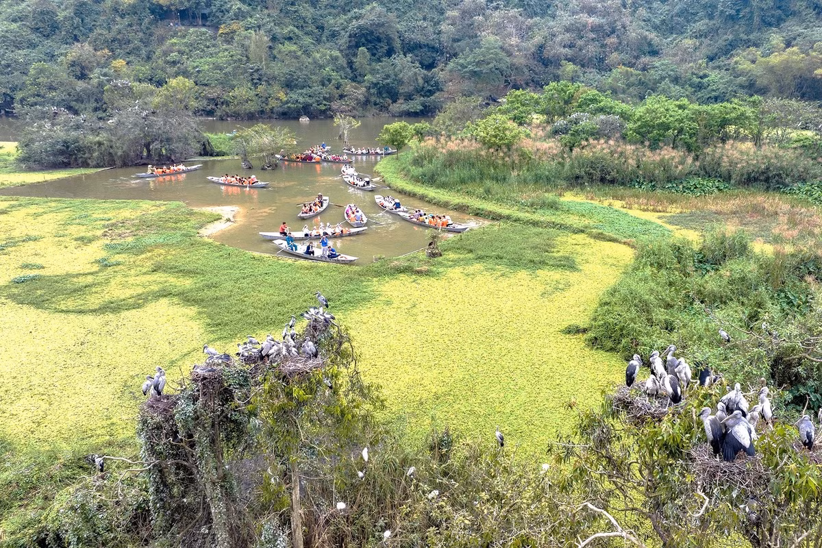 Vườn chim Thung Nham cách thành phố Ninh Bình 12km về hướng Đông - Nam. Đến nơi đây, du khách sẽ tách mình khỏi cuộc sống vội vã, xô bồ của phố thị phồn hoa náo nhiệt và được hòa mình vào thiên nhiên trong lành của núi rừng, tiếng gọi bầy của muôn chim, và tiếng vọng từ những vách đá sâu, giúp tinh thần trở nên thư thái, dễ chịu hơn.