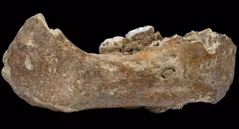Xương hàm của người Denisovans được một thầy tu phát hiện trong một hang động ở Cao nguyên Tây Tạng không chỉ mở rộng phạm vi sinh sống của một trong những tổ tiên lâu đời nhất của con người này mà còn cho thấy họ có khả năng sinh sống ở những khu vực trên cao có điều kiện khắc nghiệt.