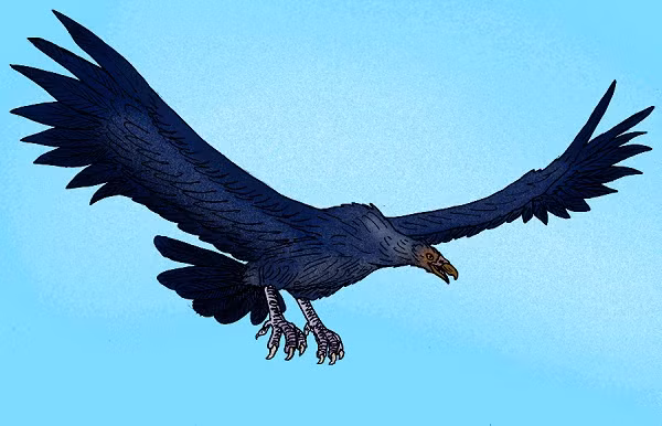 Sở hữu đôi cánh dài từ 6 đến 8m, loài chim Argentavis magnificens có trọng lượng tới hơn 100kg và có thể quật ngã một con gia súc chỉ bằng một cú lao xuống chớp nhoáng.