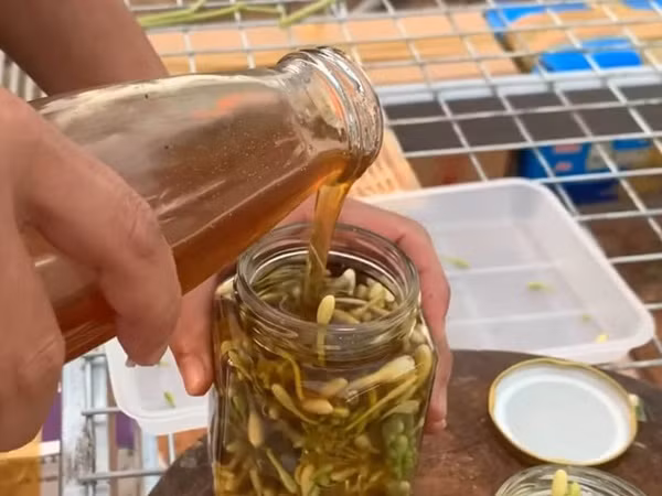 3 thu quen thuoc dem ngam voi mat ong la thuoc bo thuong hang-Hinh-2