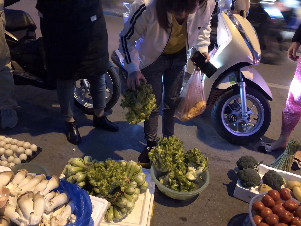 Su that sau cay mam da xanh muot, ba noi tro nao cung phai 