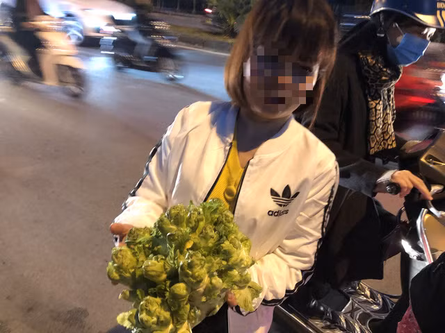 Su that sau cay mam da xanh muot, ba noi tro nao cung phai 