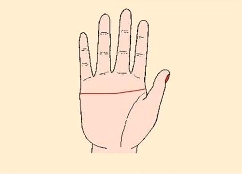 4 đường chỉ tay dự báo chủ nhân đặc biệt: May mắn lắm mới có! - Hình 3 4 duong chi tay du bao chu nhan dac biet: May man lam moi co!-Hinh-3
