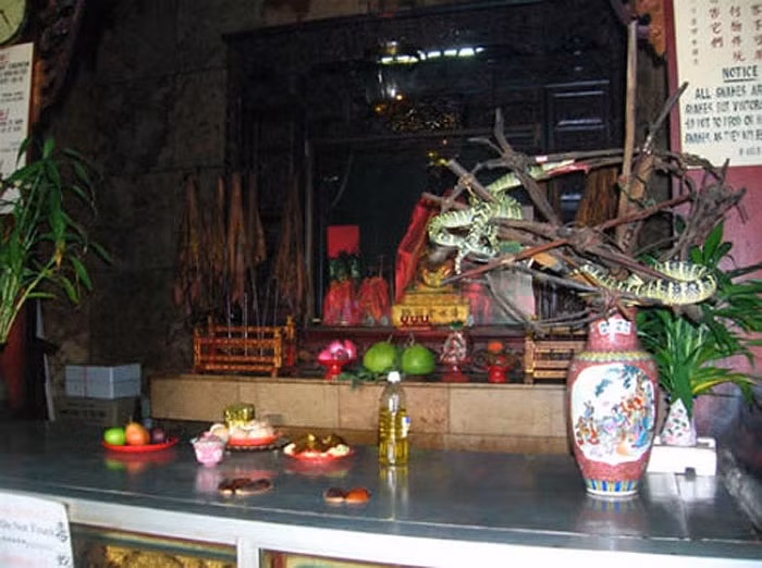Người dân khắp nơi đổ về ngôi đền này để được chiêm ngưỡng các loài rắn độc bám vắt vẻo trên xà nhà, đậu trên cây, chui vào bình hoa, bàn thờ, tượng.