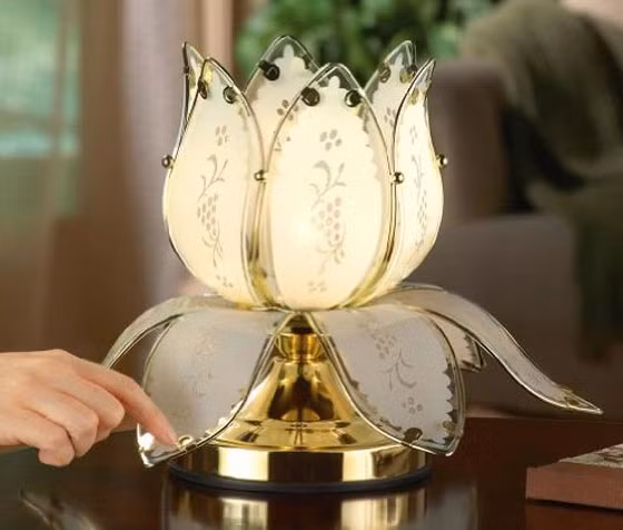 6. Cải thiện tình hình tài chính từ nhiều nguồn thu bằng ánh sáng: Ánh sáng có thể giúp bạn cải thiện tình hình tài chính, nhất là các dự án, công việc bấy lâu bế tắc. Dùng đèn hoặc nến thắp sáng hướng Đông Nam hoặc hướng Nam để khai thông và trợ vận tài lộc.