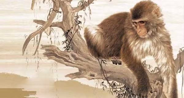 Nam Tào điểm tên: 3 tuổi khó đủ đường, 1 tuổi giàu có cuối 2022 Nam Tao diem ten: 3 tuoi kho du duong, 1 tuoi giau co cuoi 2022