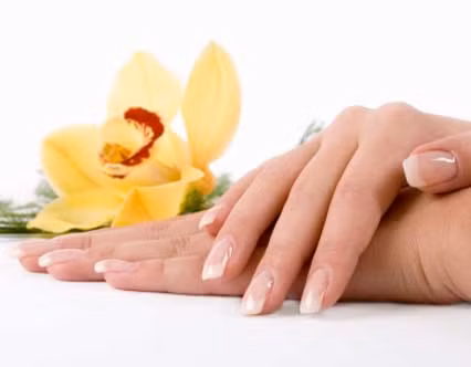 Đó là lý do mà họ chẳng bao giờ rơi vào cảnh cháy túi.