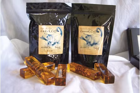 Kopi Luwak (cà phê chồng) - loại cà phê đắt nhất thế giới.