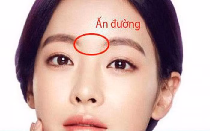  3. Nốt ruồi ở ấn đường. Trong Nhân tướng học, hầu hết những người có ấn đường rộng rãi, sáng sủa đều là những người có tư tưởng cởi mở, tầm nhìn dài hạn và có tham vọng lớn. Tuy nhiên, nếu có nốt ruồi xám xấu tại ấn đường thì sẽ ảnh hưởng rất lớn đến vận mệnh. Không những vận may bị cản trở mà tài lộc còn có thể bị thất thoát.