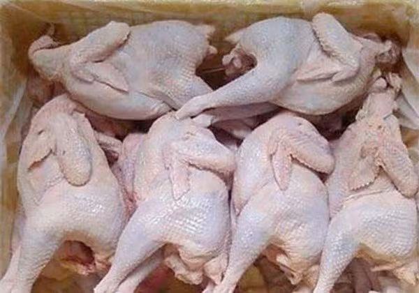 Tại các chợ đầu mối các "đậu nậu" thường nhập gà đóng sẵn trong thùng xốp.
