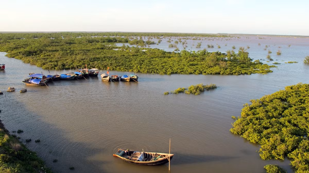 Là vùng đất nằm giữa hạ lưu hai con sông Càn và sông Đáy, tốc độ bồi tụ tiến ra hàng năm ở Kim Sơn rất lớn. Trong 200 năm qua, các cuộc quai đê lấn biển đã được tiến hành, khiến diện tích huyện Kim Sơm được mở rộng gấp ba lần so với khi mới thành lập. Ảnh: Người Kể Sử.