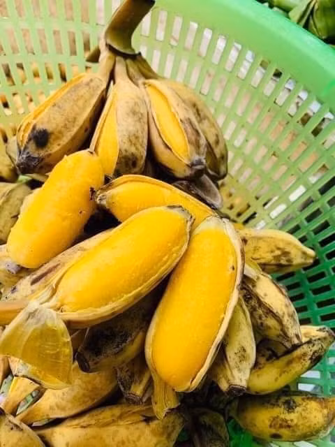 Ăn chuối luộc vào thời điểm này trong 1 tuần, cơ thể nhận 7 thay đổ - Hình 2 An chuoi luoc vao thoi diem nay trong 1 tuan, co the nhan 7 thay do-Hinh-2