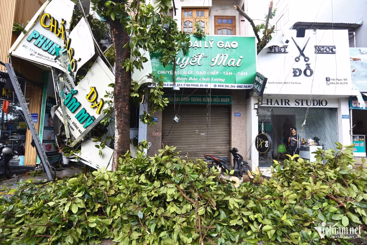 Không chỉ có đường phố, mà ngay trong khuôn viên Bệnh viện Quân y 7B, hơn 10 cây xanh bị bật gốc, đổ vào các tòa nhà.