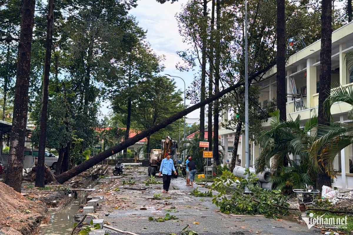 Nhiều mảng tường, la phông trong bệnh viện cũng bị đổ sập.